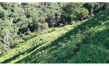 Venta de Finca Turística y Productiva en El Totumo – Ibagué