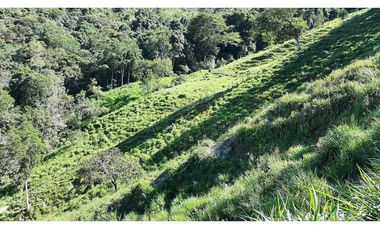 Venta de Finca Turística y Productiva en El Totumo – Ibagué