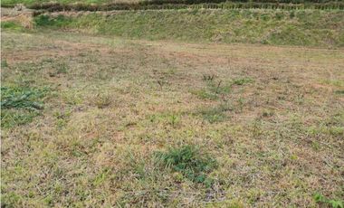 Venta de lote en el Carmen de Viboral