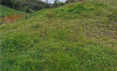 Venta de lote en el Carmen de Viboral