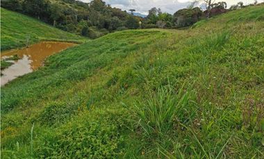 Venta de lote en el Carmen de Viboral