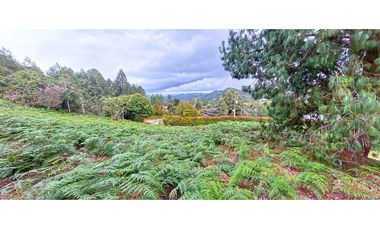 Vendo Lote en unidad cerrada en Las Palmas con linda vista