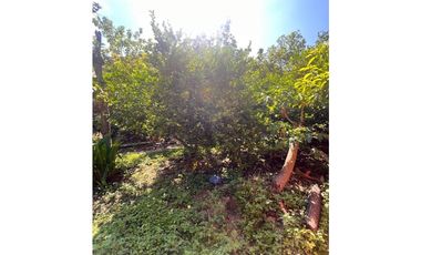 CASA LOTE EN VENTA MULALO YUMBO