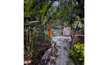 CASA LOTE EN VENTA MULALO YUMBO