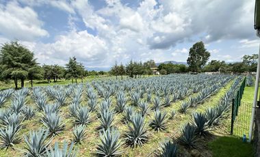 Propiedad en VENTA sobre Carretera Morelia-Pátzcuaro, Municipio de Tiripetío
