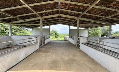 Propiedad en VENTA sobre Carretera Morelia-Pátzcuaro, Municipio de Tiripetío