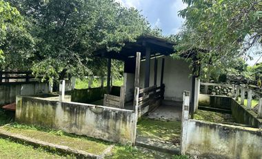 Propiedad en VENTA sobre Carretera Morelia-Pátzcuaro, Municipio de Tiripetío