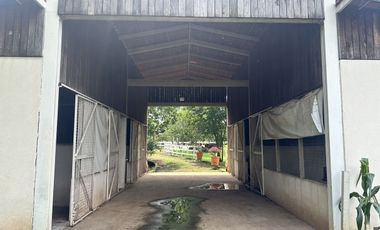 Propiedad en VENTA sobre Carretera Morelia-Pátzcuaro, Municipio de Tiripetío