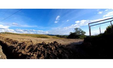 Venta lote Campestre Cerritos la Virginia