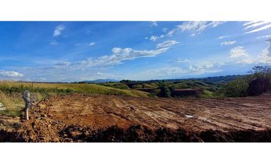 Venta lote Campestre Cerritos la Virginia