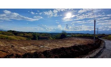 Venta lote Campestre Cerritos la Virginia