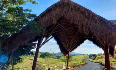 Venta lote Campestre Cerritos la Virginia