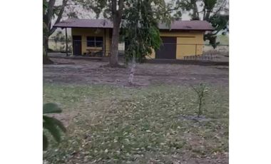 VENTA TERRENO EN CHAME 2 HECTREAS