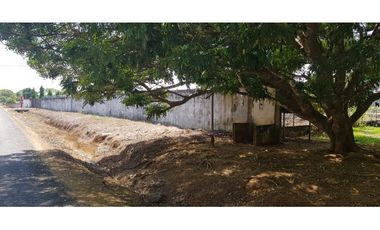 Venta de terreno con oficina en vía interamericana, David, San Pablo