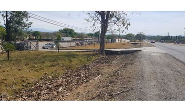 Venta de terreno con oficina en vía interamericana, David, San Pablo