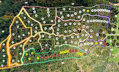 Venta Parcela - 5.000 m2 - Cauquenes