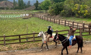 Venta Parcela - 5.000 m2 - Cauquenes