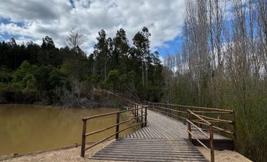 Venta Parcela - 5.000 m2 - Cauquenes