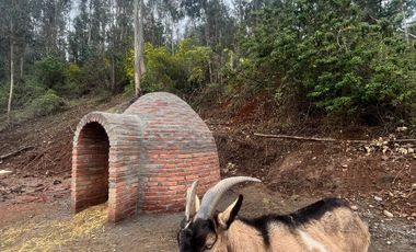 Venta Terreno 5.000 m2 - Cauquenes