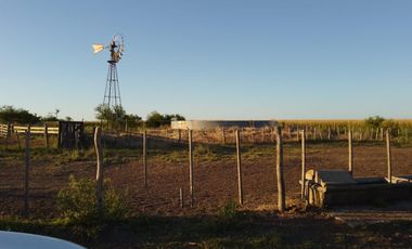 CAMPO MIXTO FEDERAL E.R. 1.450 HA CON 340 HA AGRÍCOLAS  U$S2.800/HA