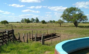 CAMPO MIXTO FEDERAL E.R. 1.450 HA CON 340 HA AGRÍCOLAS  U$S2.800/HA