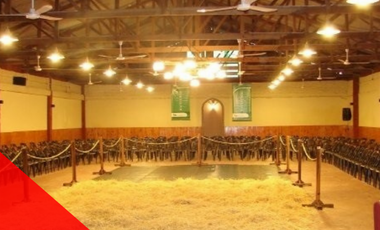 ESTANCIA A LA VENTA  EN SOLIS