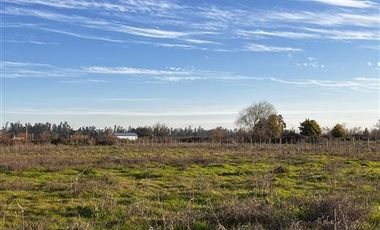 Sitio en Venta en Parcelas Santa Rita Sector Panamericana