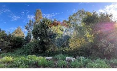 Campo Multipropósito y Paisajes Maravillosos