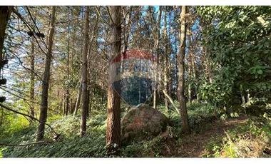 Campo Multipropósito y Paisajes Maravillosos