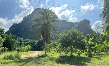Land for sale in Na Yang, Phetchaburi