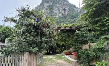 Land for sale in Na Yang, Phetchaburi