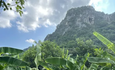 Land for sale in Na Yang, Phetchaburi
