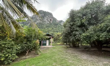 Land for sale in Na Yang, Phetchaburi