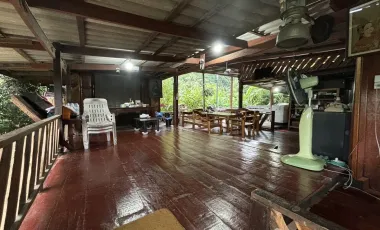 Land for sale in Na Yang, Phetchaburi