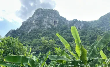 Land for sale in Na Yang, Phetchaburi