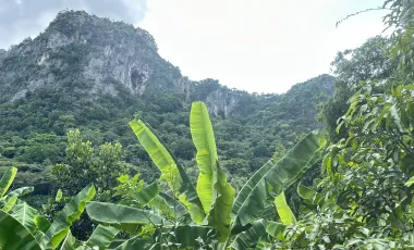 Land for sale in Na Yang, Phetchaburi