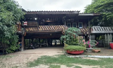 Land for sale in Na Yang, Phetchaburi