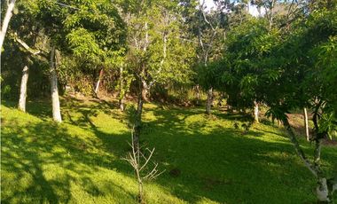 Venta Finca en Silvania Cundinamarca