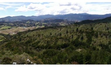 finca para parcelar el Retiro Antioquia SR1
