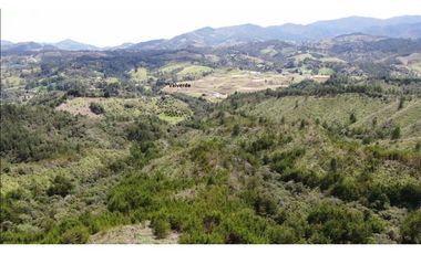 finca para parcelar el Retiro Antioquia SR1