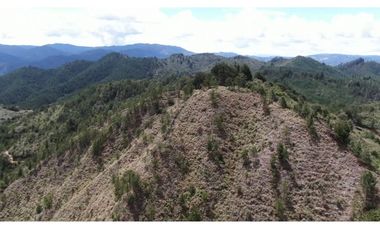finca para parcelar el Retiro Antioquia SR1