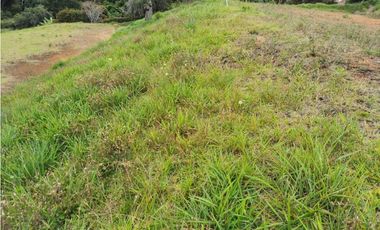 Venta de lote en el Carmen de Viboral