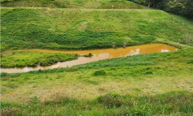 Venta de lote en el Carmen de Viboral