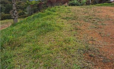 Venta de lote en el Carmen de Viboral