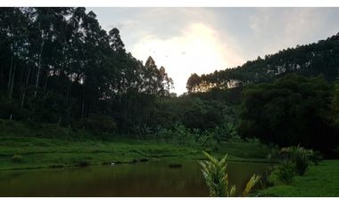 Vendo Finca en Supatá Cundinamarca
