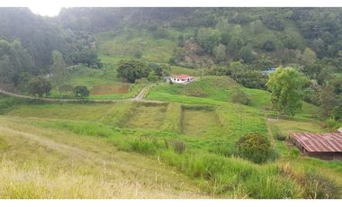 Vendo Finca en Supatá Cundinamarca