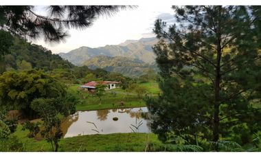 Vendo Finca en Supatá Cundinamarca