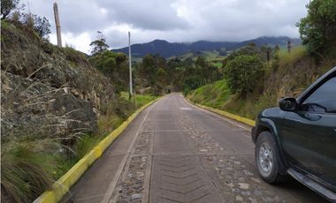 VENDO FINCA 52 FANEGADAS CARMEN DE CARUPA
