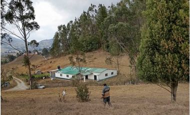 VENDO FINCA 52 FANEGADAS CARMEN DE CARUPA