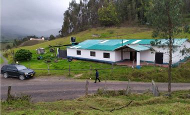VENDO FINCA 52 FANEGADAS CARMEN DE CARUPA